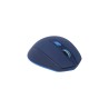 Mouse Naceb Technology NA-0119A