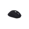 Mouse Naceb Technology NA-0119N