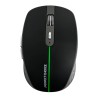 Mouse PERFECT CHOICE PC-045304