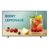 Pantalla Semiprofesional SAMSUNG LH43BEFHVGFXZX