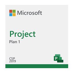 Project Plan 1 MICROSOFT CFQ7TTC0HDB1P1MM
