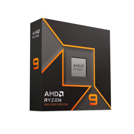 Procesador AMD 9 9900X