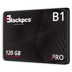 SSD Blackpcs AS2O1-120